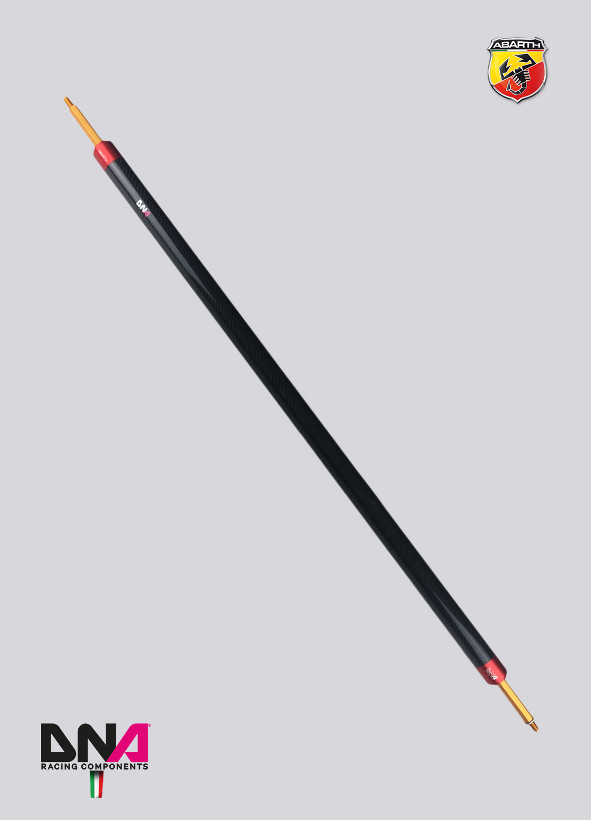 PC1690 Kit barra duomi posteriore fibra di carbonio DNA Racing 500 Abarth versione EU