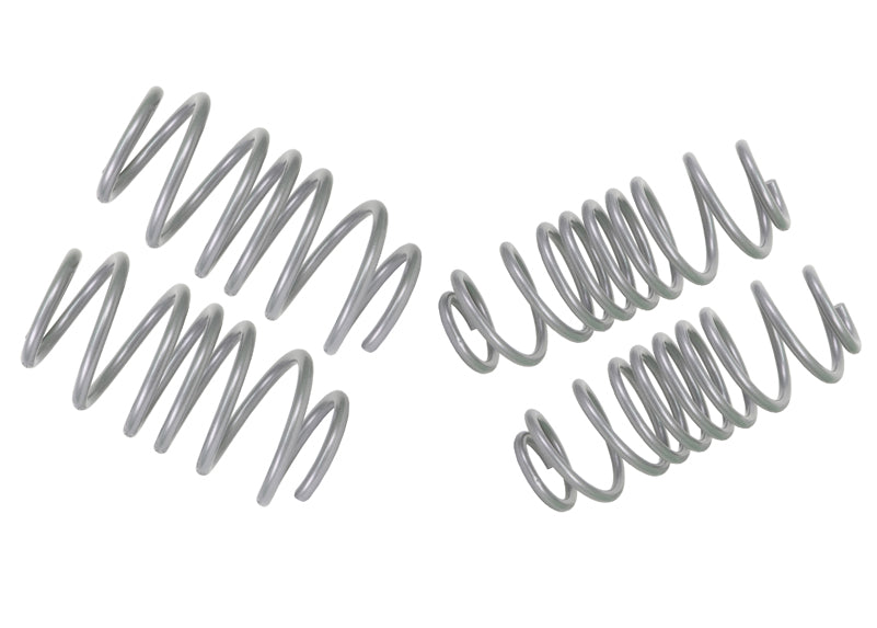 WSK-FRD010 - Coil Springs - Lowered