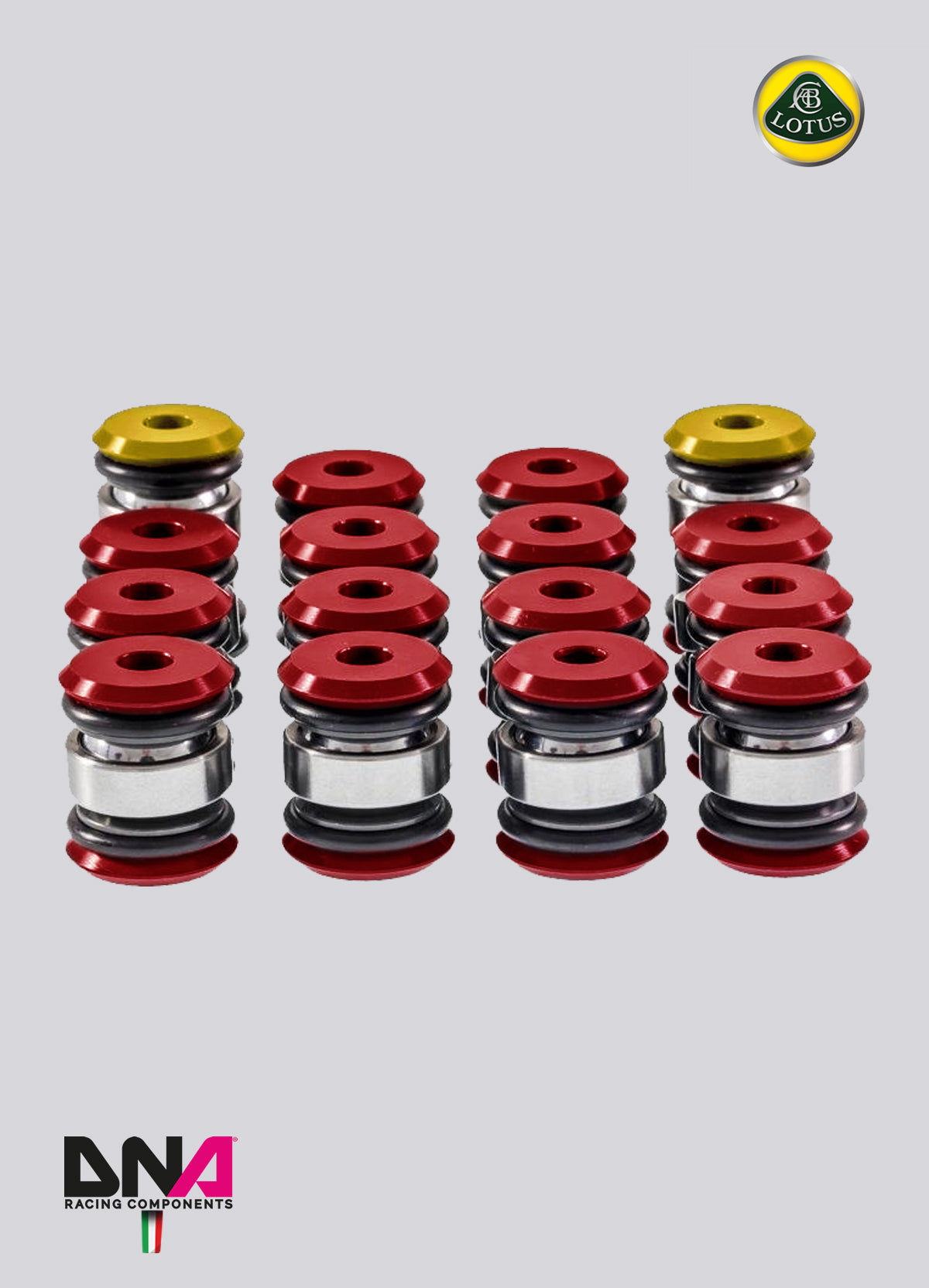 PC0669 Kit uniball per trapezi sospensioni standard (completo) DNA Racing per Lotus Elise L4, Lotus Exige L4