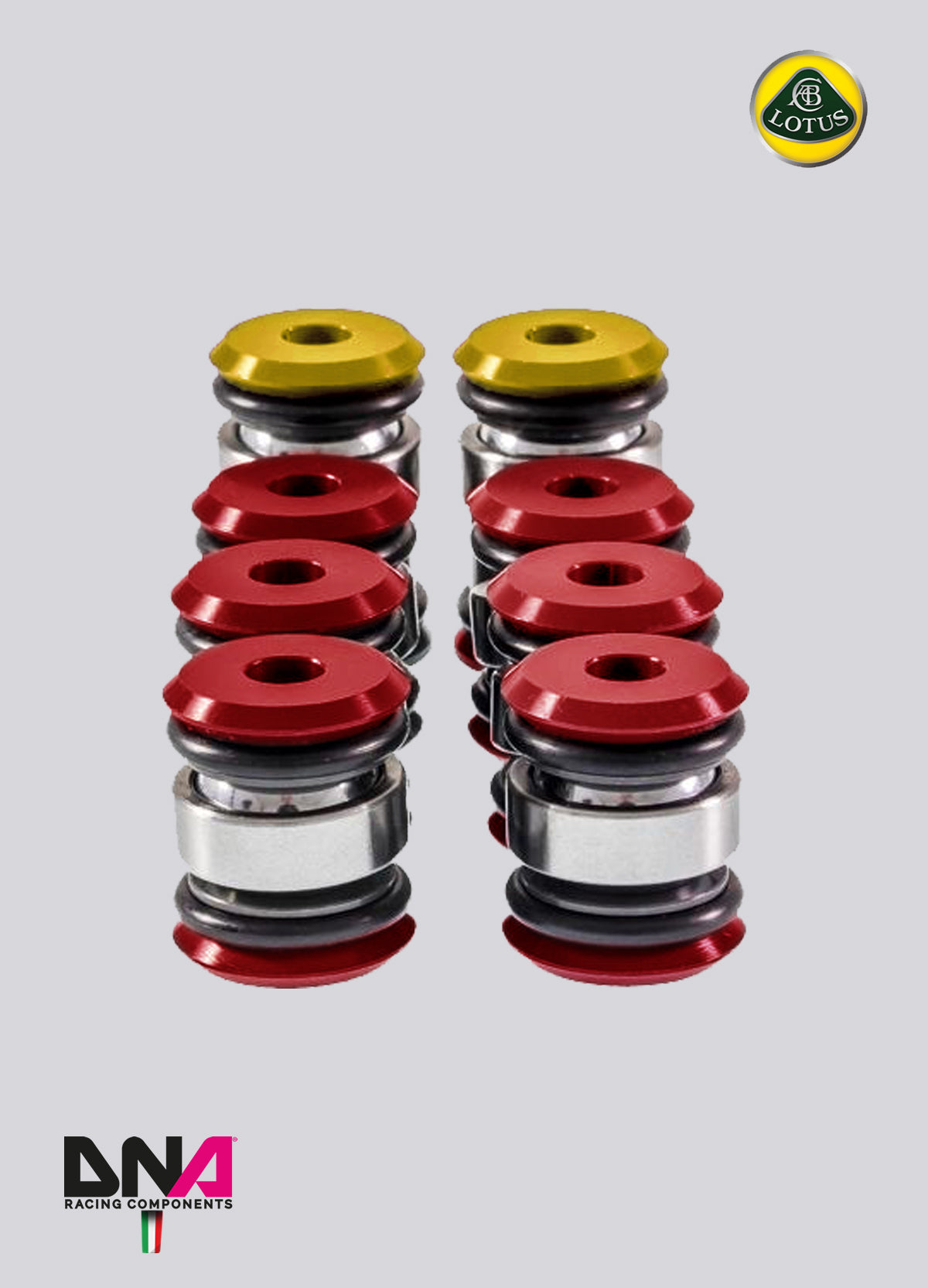 PC0851 Kit uniball trapezi standard (parziale) DNA Racing Lotus Elise L4, Lotus Exige L4