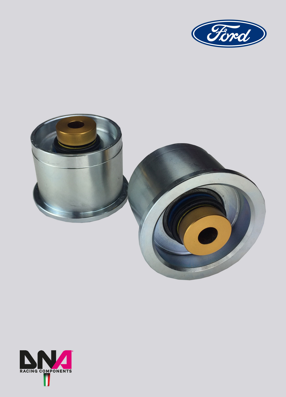 PC1091 Kit uniball ponte posteriore DNA Racing Ford Fiesta MKVII