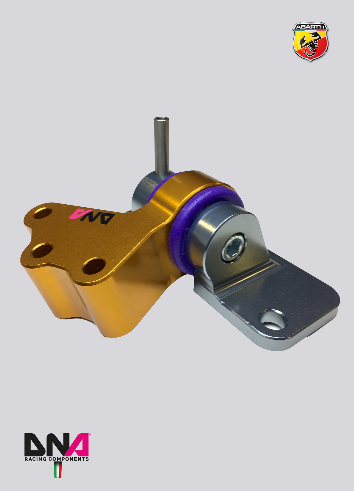 PC1494 Kit supporto motore lato distribuzione Fast Road DNA Racing 500 Abarth versione EU