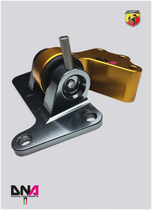 PC1522 Kit supporto motore lato distribuzione Track Day DNA Racing 500 Abarth versione EU