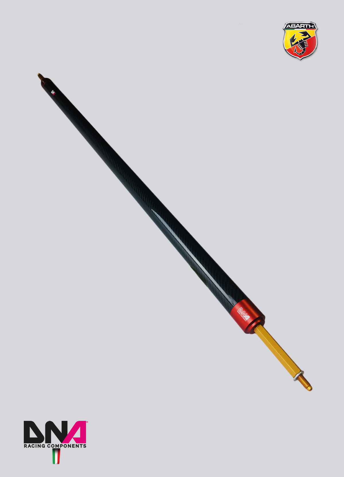 PC1690 Kit barra duomi posteriore fibra di carbonio DNA Racing 500 Abarth versione EU