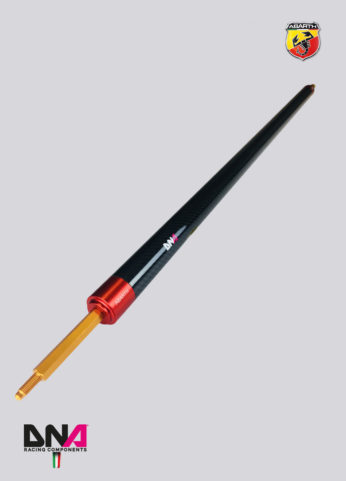 PC1690 Kit barra duomi posteriore fibra di carbonio DNA Racing 500 Abarth versione EU