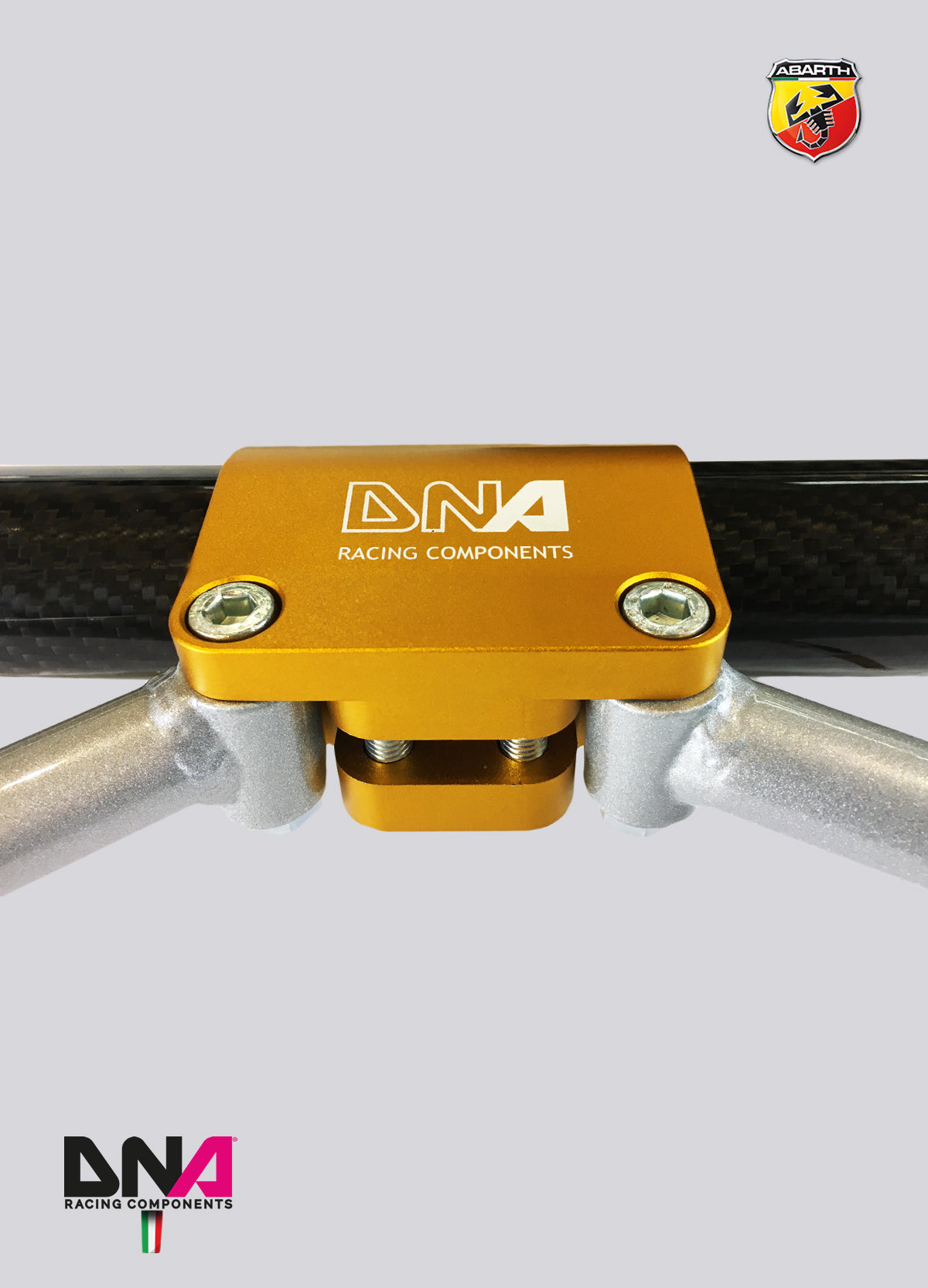 PC1696 Kit barra duomi posteriore fibra di carbonio DNA Racing 500 Abarth versione EU