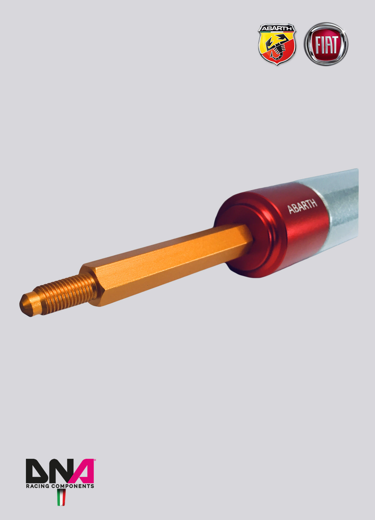 PC1711 Kit barra duomi posteriore DNA Racing 500 Abarth versione EU