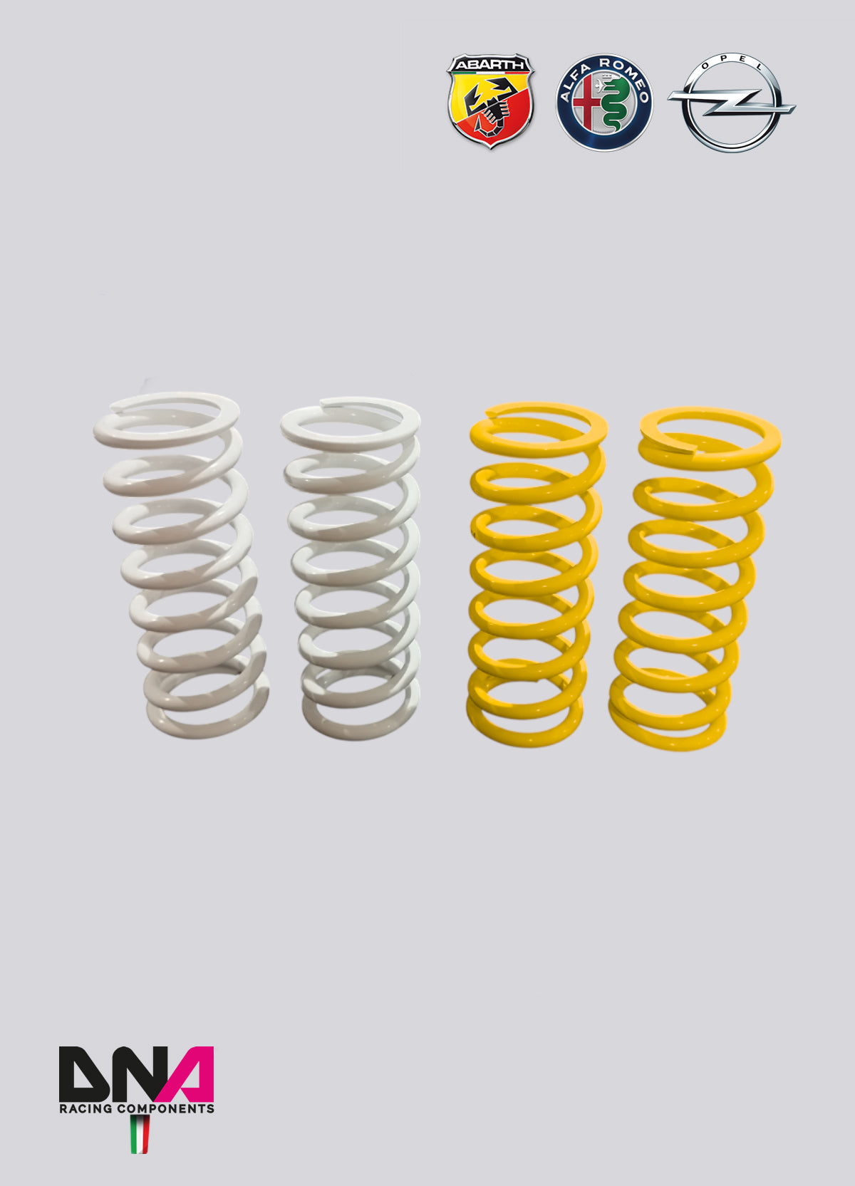 PC2314 Kit molle Track day per ammortizatori DNA Racing WRS abarth mito grande punto adam