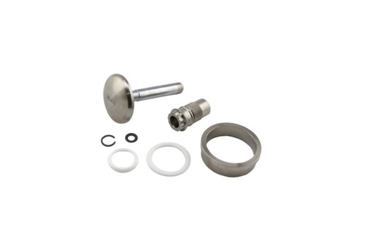 Turbosmart Gen-V WG45 Valve & Guide Set