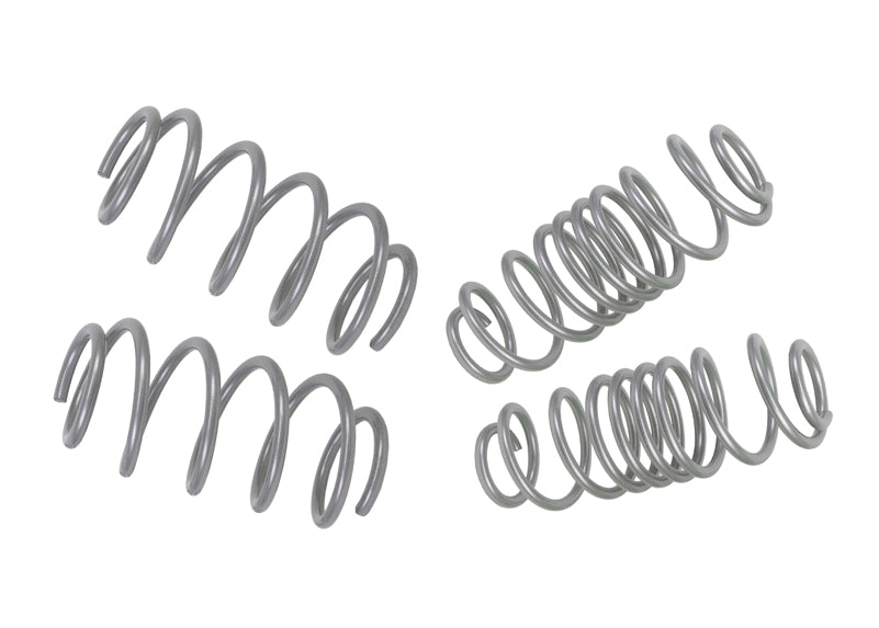 WSK-FRD002 - Coil Springs - Lowered