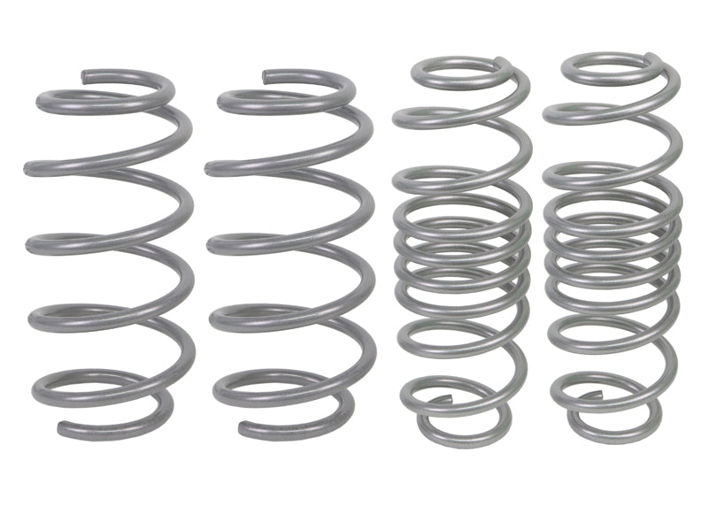 WSK-FRD002 - Coil Springs - Lowered