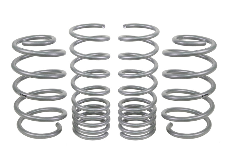 WSK-FRD009 - Coil Springs - Lowered