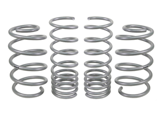 WSK-FRD009 - Coil Springs - Lowered