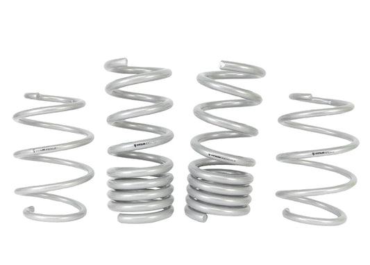 WSK-FRD011 - Coil Springs - Lowered
