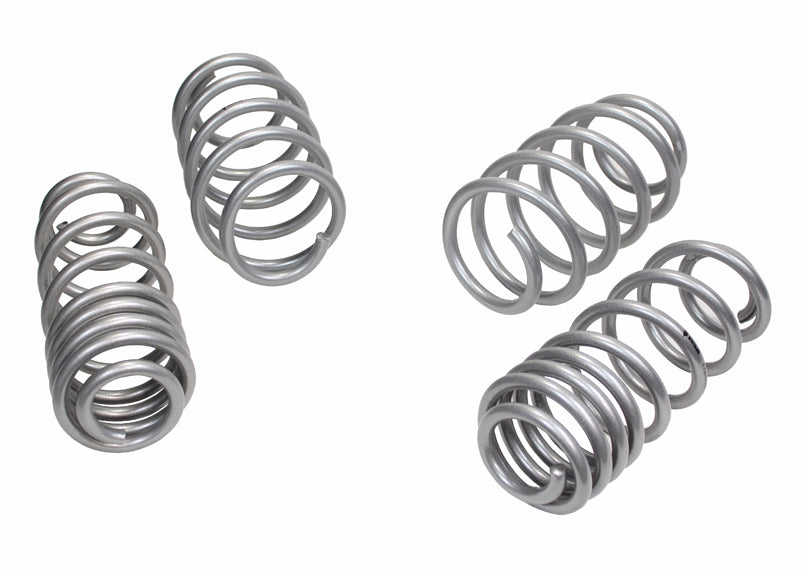 WSK-VWN002 - Coil Springs - Lowered