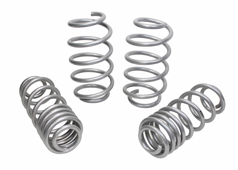 WSK-VWN002 - Coil Springs - Lowered