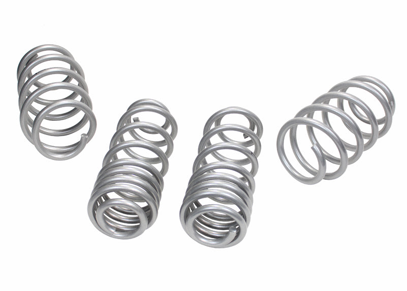 WSK-VWN002 - Coil Springs - Lowered