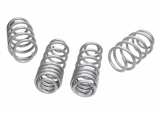 WSK-VWN002 - Coil Springs - Lowered