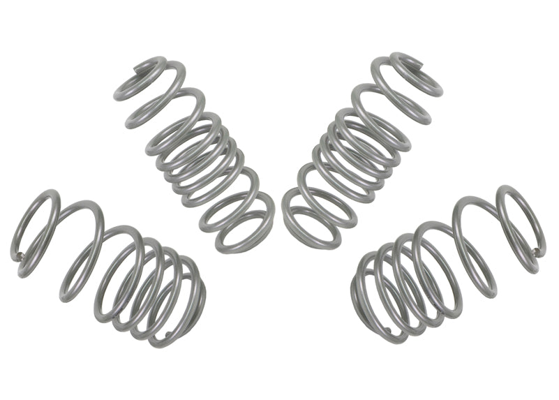 WSK-VWN003 - Coil Springs - Lowered