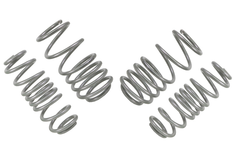 WSK-VWN003 - Coil Springs - Lowered