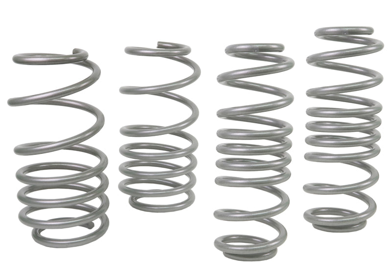WSK-VWN003 - Coil Springs - Lowered