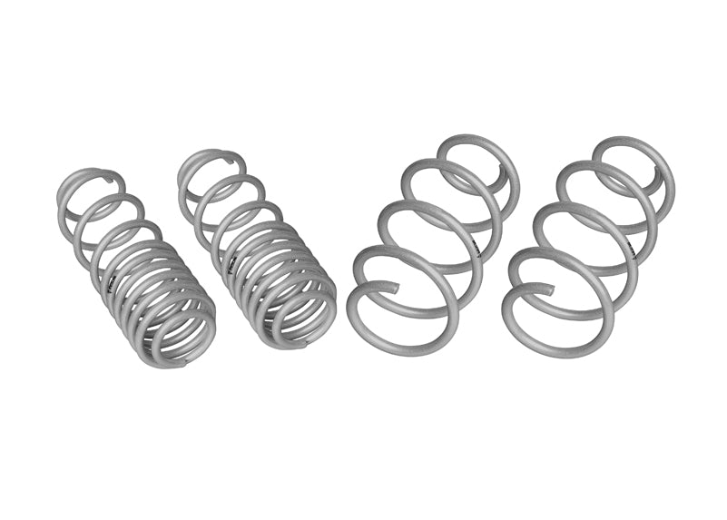 WSK-VWN004 - Coil Springs - Lowered