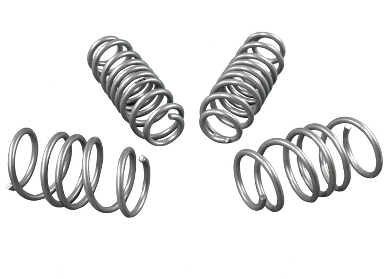 WSK-VWN006 - Coil Springs - Lowered