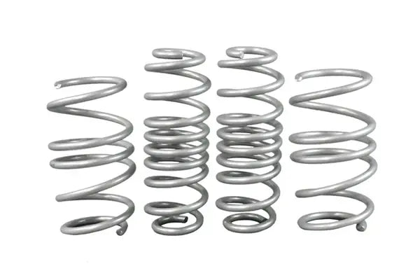 WSK-VWN007 - Coil Springs - Lowered
