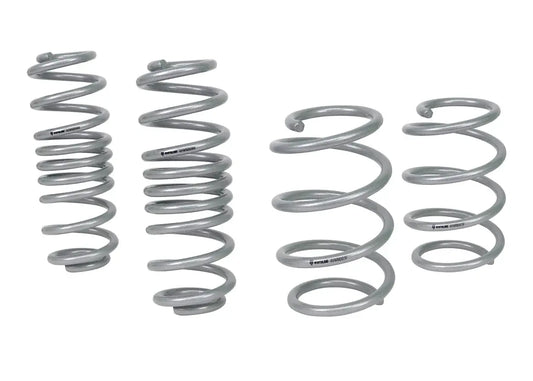 WSK-VWN008 - Coil Springs - Lowered